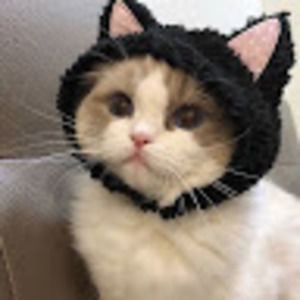 Meet your Posher, Clare